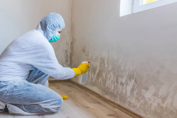Licensed Mold Remediation service in Fayetteville, NC - 24 Hour Mold Removal