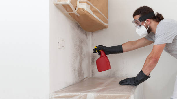 Professional Mold Remediation technician working in Fayetteville, NC