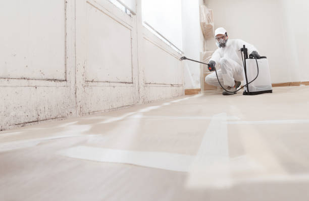 24/7 Emergency Mold Remediation experts in Fayetteville, NC