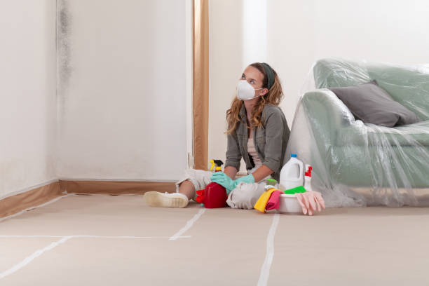 Reliable Mold Remediation contractor in Fayetteville, NC by 24 Hour Mold Removal